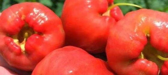 甜菜叶|女人想皮肤好,4种食物要多吃,滋阴补阴,祛皱淡斑,增强免疫力