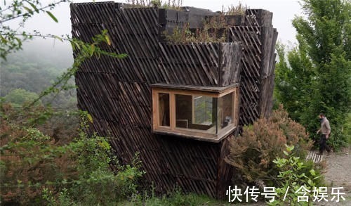 小菜园|他用40棵松树,在荒山野林建起小屋,屋顶种菜生活自给自足