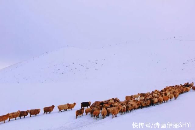 天山深处有个寂静而又温暖的“冬窝子”叫做阿克塔斯冬牧场