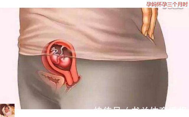 待产包|母亲十月怀胎到底多辛苦?十张图带你看孕育全过程,生命来之不易