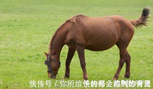 卧一口井@千古绝对! 上联 上联 俩二横躺竖卧一口井;下联经典到爆!