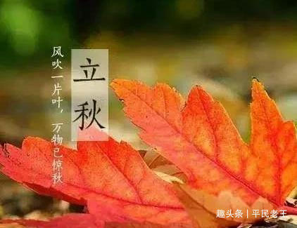 农历|“早立秋冷嗖嗖，晚立秋热死牛”准吗2021年立秋是早是晚