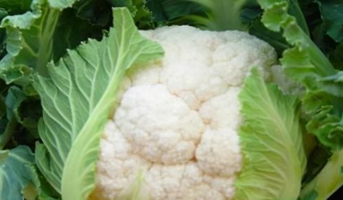 杨梅酒|不想身体有炎症,多吃几种食物,大肚子平了,气色红润,身材苗条