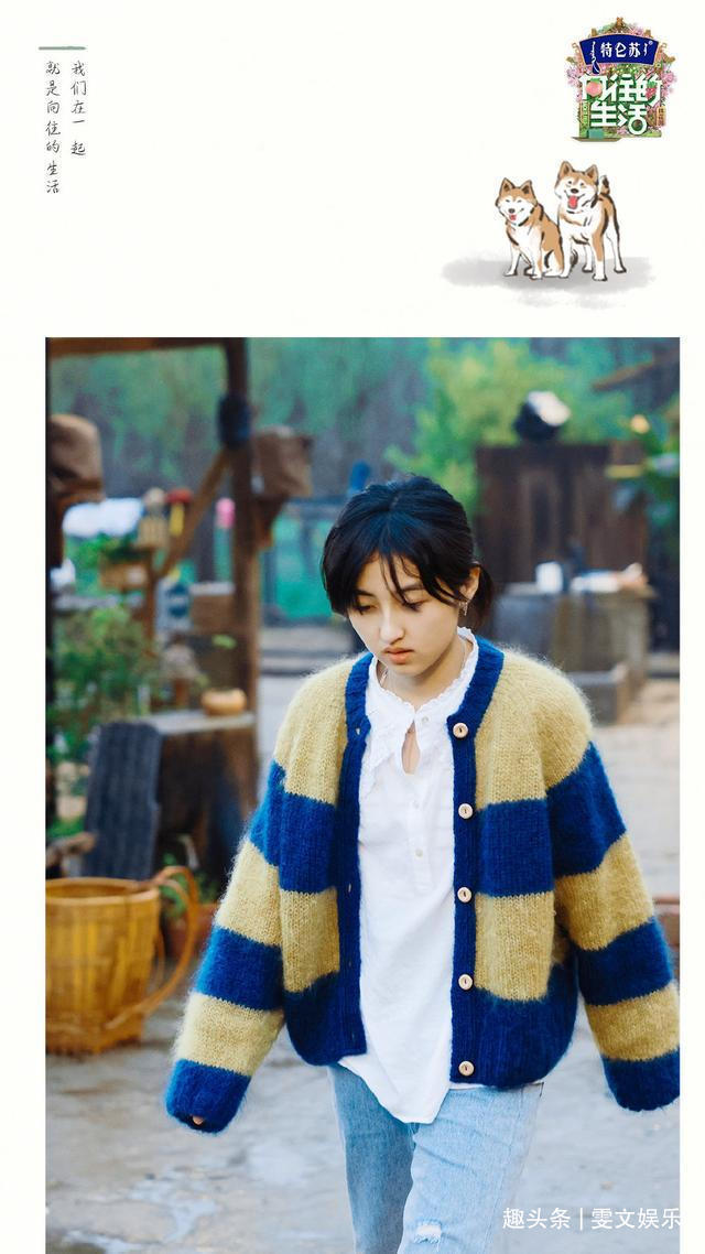 节目 下期《向往》要火,杨紫还没走,他俩又来了,还是《跑男》老成员