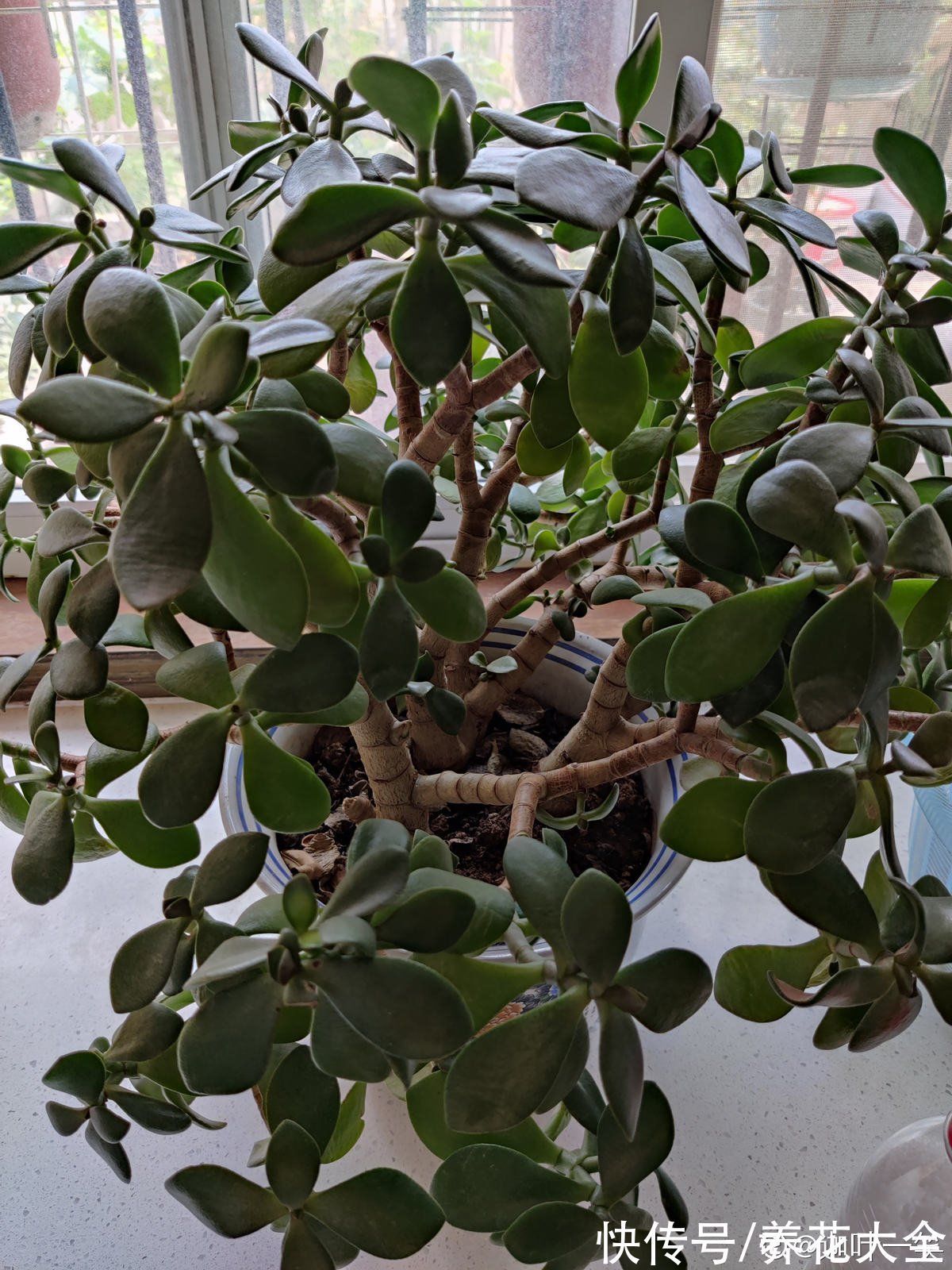 今年下半年起,农村严查3种“小生意”,严重的会被直接判刑