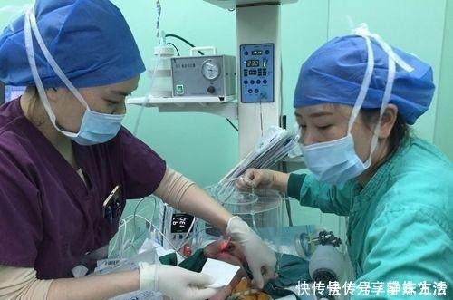 孩子|生完孩子的两小时内,产妇身体会发生这些变化,你感觉到了吗!