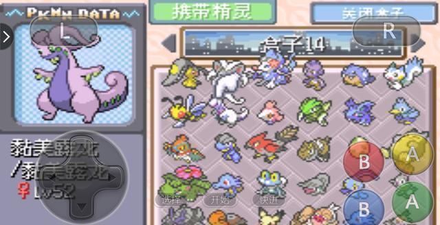 口袋妖怪xy喷火龙进化石