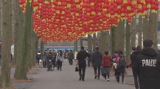 近郊游崇明红火 错峰行大家牢记