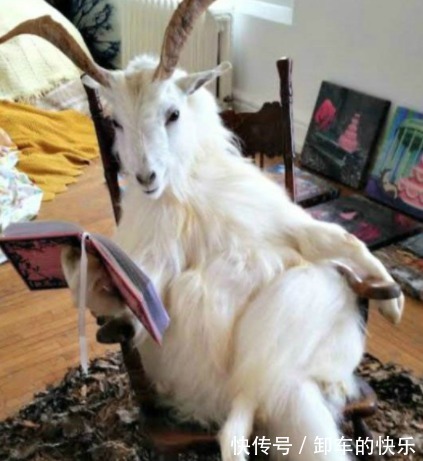 |幽默笑话:老师要求必须带一样主食 他爷爷正好走过