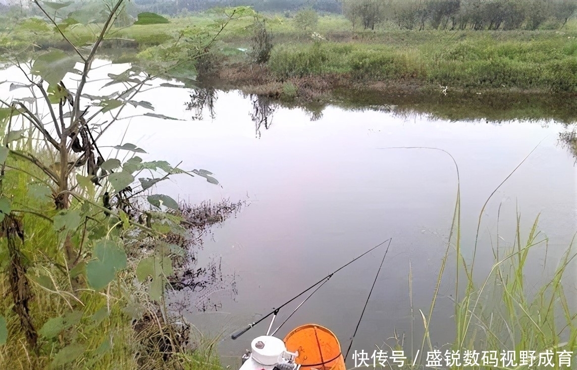 何道理|钓到大鱼不切子线，却切主线是何道理？子线缠绕打结怎样解决