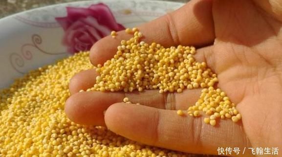 小孩|家里有小孩的,6种食物经常吃,增强记忆力,大脑更聪明