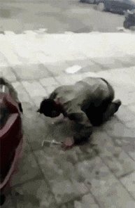 |搞笑GIF:日防夜防,损友难防,这一下恐怕半年都下不了床