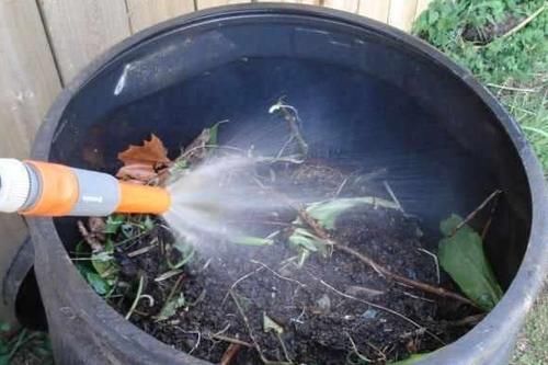 养花的旧土,加点料,秒变营养土,“肥的流油”,养啥花都旺