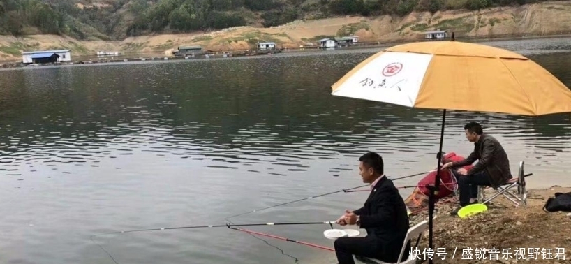 鲫鱼|垂钓鲫鱼和鲤鱼,在钓法、钓饵等方面的差异