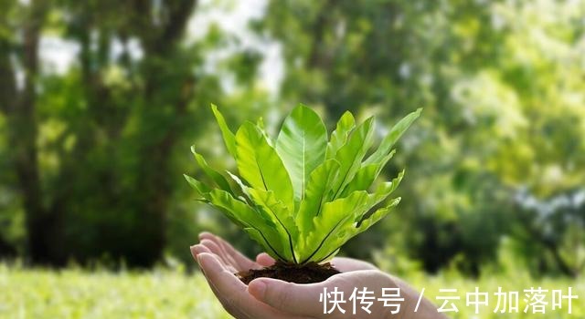 天道#复盘觉到、悟到,方能得到!