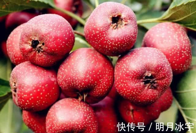 心脑血管病|高血压不要怕, 这些食物每天吃一点, 你的血压一天会比一天低