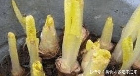 养花不如养这种“蔬菜”, 价值70元一斤, 家里养一盆, 好看更好!