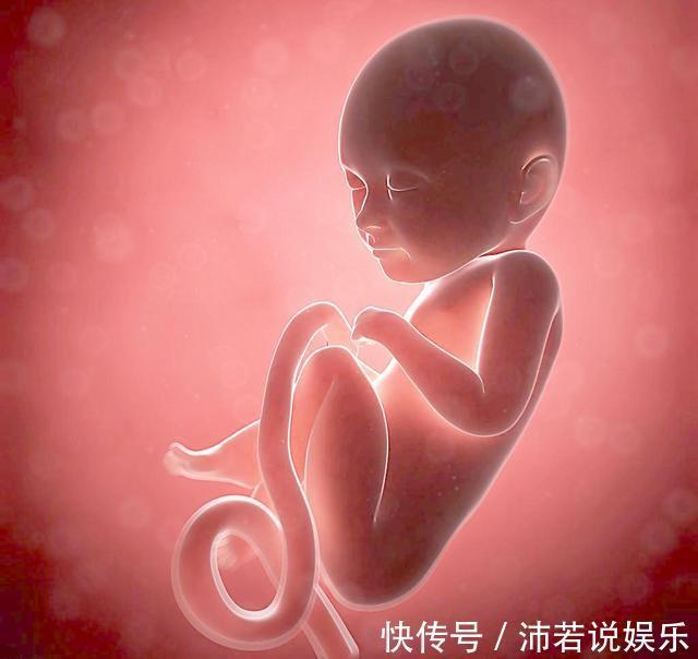 子宫纵膈|女子做4次流产腹中胎儿岿然不动,医师检查后大吃一惊