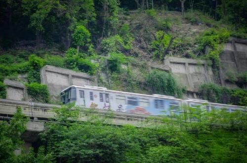 寻踪|寻踪李子坝！来一次全新的山城穿越之旅