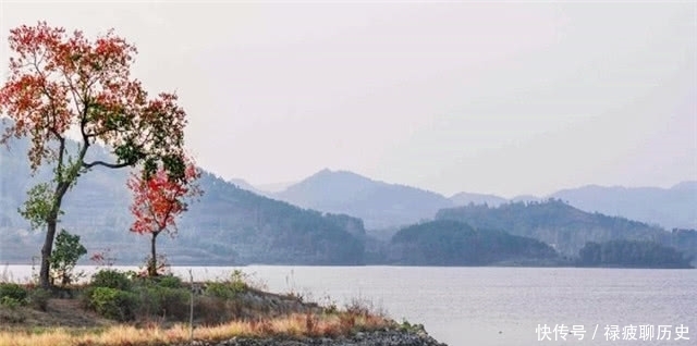  黄叶|苏轼的黄叶村和曹雪芹的黄叶村，有什么内在的联系？