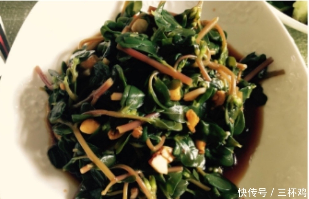 野菜|大家有吃过马齿笕吗,知道这种野菜有什么功效吗?