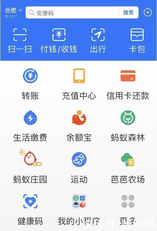 老年|支付宝“老年版”上线，但用起来不对劲？