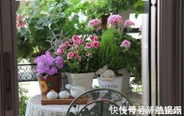 7㎡迷你“阳台造园”小阳台这样布置,也能美成的花园!