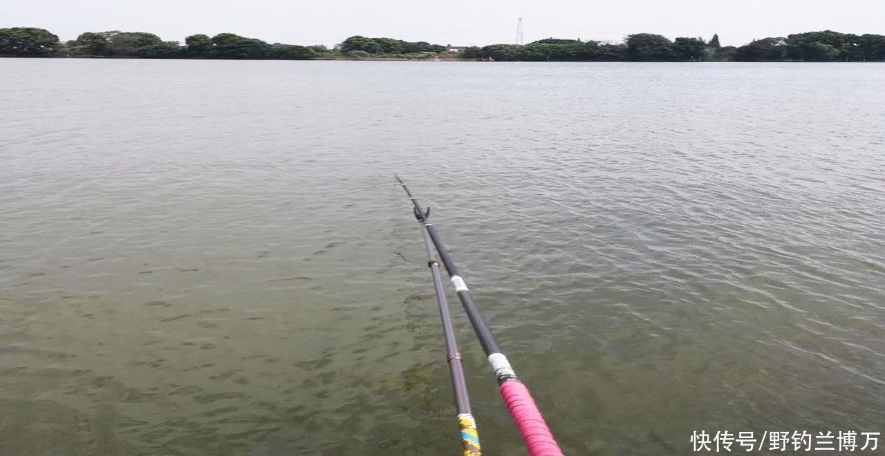 秘密|同样都是钓鱼，为何别人比你钓得多，秘密在这里