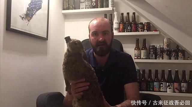 酒精度|苏格兰布鲁德酒厂:用动物的尸体做包装,啤酒卖765美元一瓶