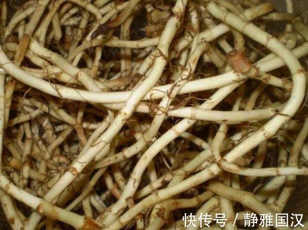 天敌|它是痔疮“天敌”,喝水时加一点,痔疮会慢慢消退