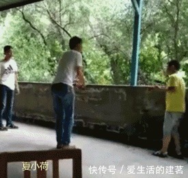 |搞笑GIF趣图:不就是跳上去么,你们都看好了,绝技只表演一次