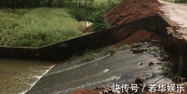 水草|没有水草就不能钓鱼了吗根据这4点来找鱼,下竿之处即咬钩
