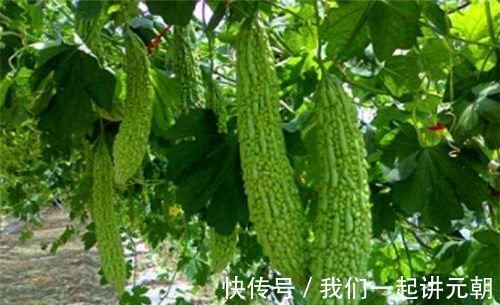 食物|女性不愿老太快,要坚持吃几种食物,淡斑美颜,护肤美容,显年轻