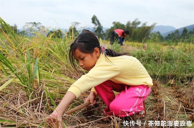 老祖宗谈生辰初一的娘娘,十五的官,这句俗语有道理吗