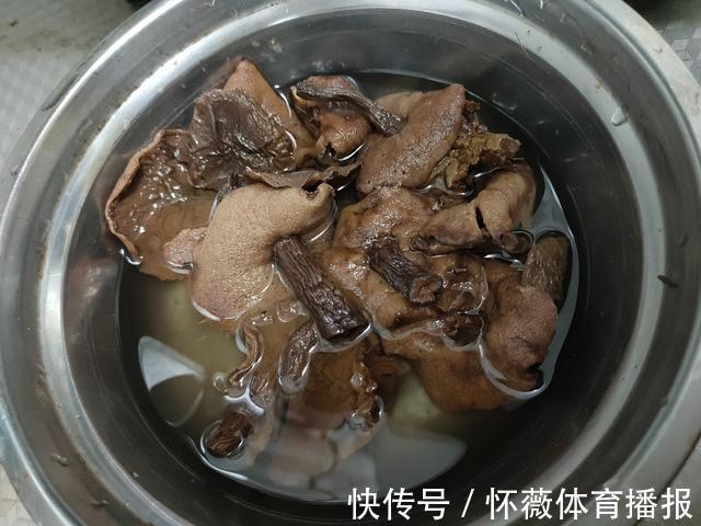 松蛾|纯野生松蛾子,泰山松林的馈赠,与鸡肉一锅炖,香到流口水