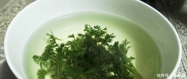 此草曾是华佗亲自命名，是清热解毒保肝利胆的圣品！