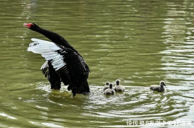 双龙湖湿地赏花、踏春