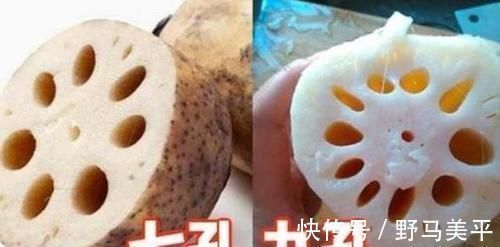 同样是莲藕，七孔的和九孔的有什么区别？买错了，难怪做菜不好吃