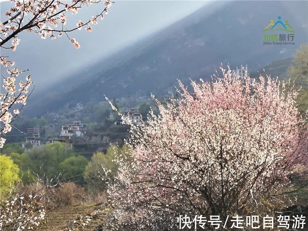 神仙包|春天第一站就去这里！醉春天之川西花海、雪山、冰湖七天之旅