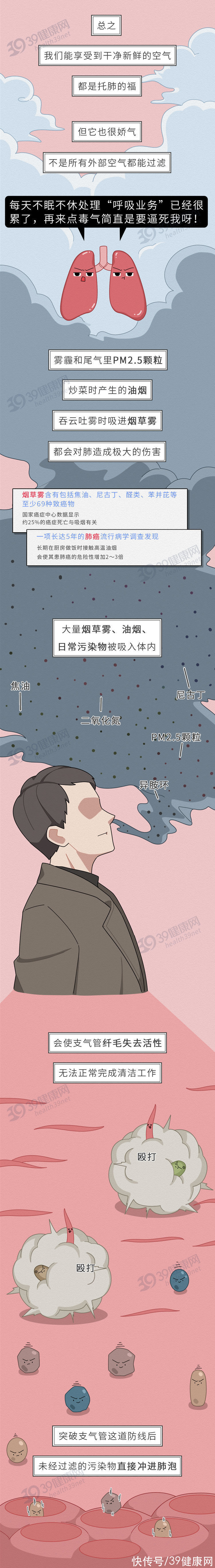北京教育学院|中国人的肺，是如何一步步“坏”掉的？这些养肺的方法很科学