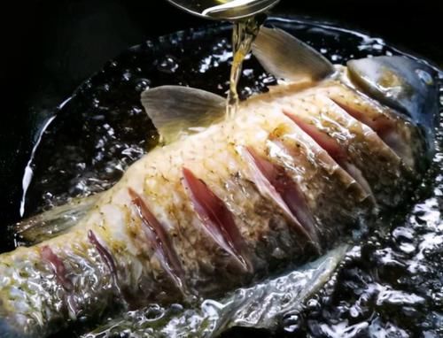 啤酒|炖鱼时，别只会放料酒和醋，教你1招技巧，鱼肉鲜香嫩滑还无腥味