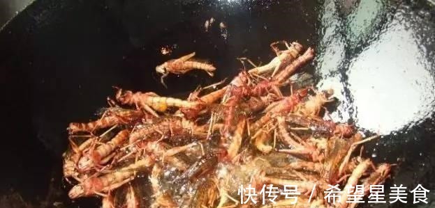 去农村表姐家吃饭，表姐做了农家柴火饭，吃完之后停不下来太香了！