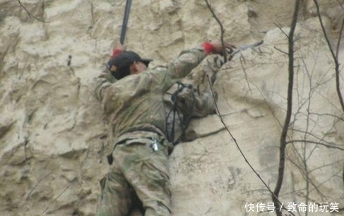 崖柏|带你走进深山的采崖柏人,有人靠它赚上亿,有人因此丧命,太珍贵