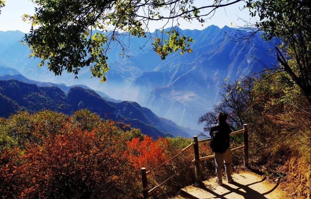  华山|水浒传中，若不上梁山，三大寨主领衔的少华山能否被朝廷剿灭？