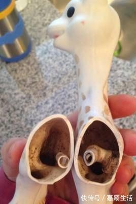 消毒|好可怕!宝宝天天吃的牙胶和奶嘴,竟然比抹布还脏!