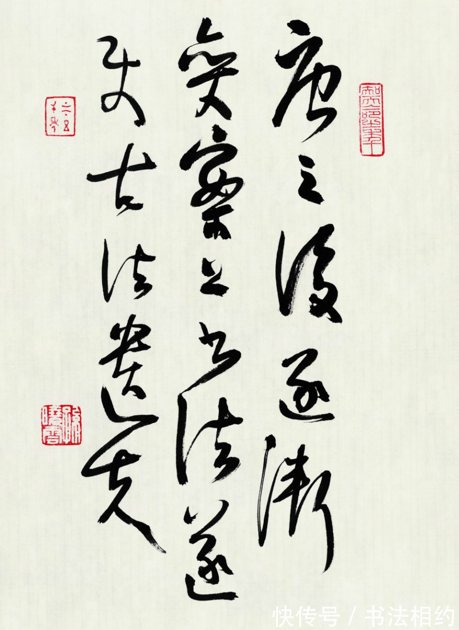 老师@孙晓云草书少了些跌宕起伏的气势,多了些平稳,但是也是很耐看的