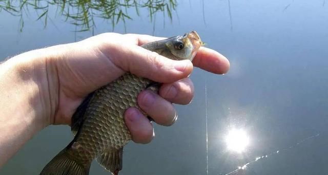 不宜|冬钓时,这三个位置不宜考虑,莫不信,老司机们都晓得,不学亏了