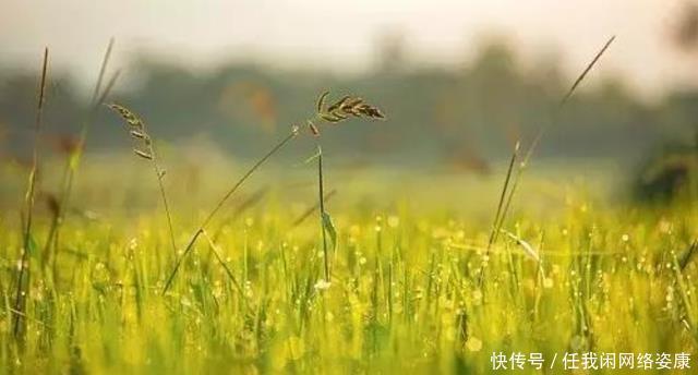 太阳光 太阳也有寿命,现在的太阳,到底多少岁了