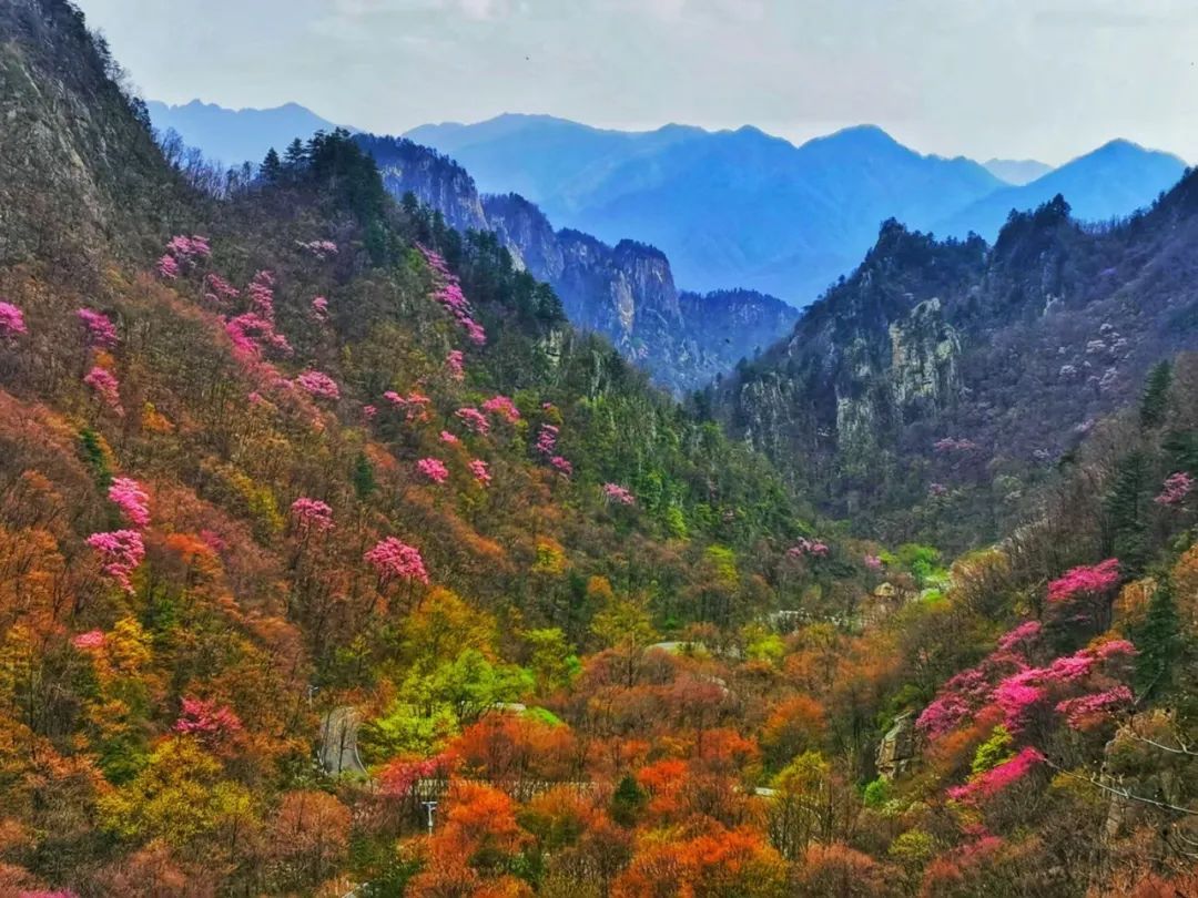 恭喜！西峡这一景区斩获“4钻级智慧景区”殊荣！