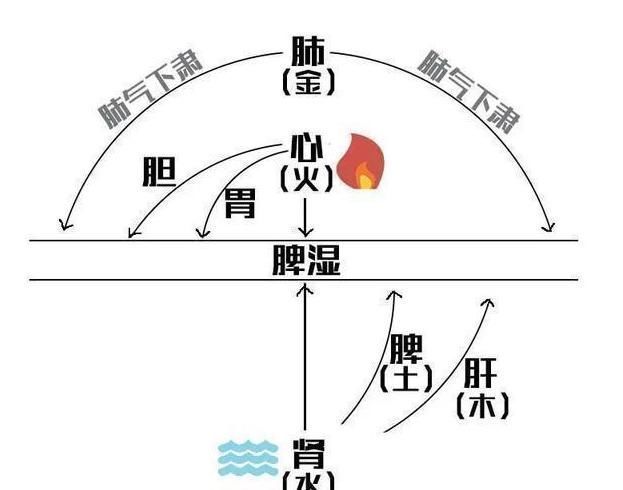 功效|黑芝麻最大的功效不是乌发!冬季这样吃,阳气满满,错过等明年